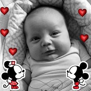 Meet your Posher, Samantha